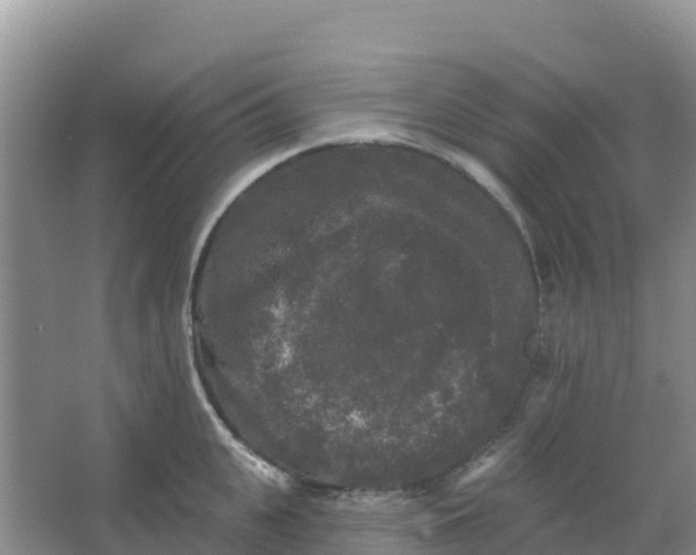 X0000066930951200604071843