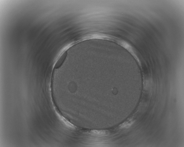 X0000066930954200604071843