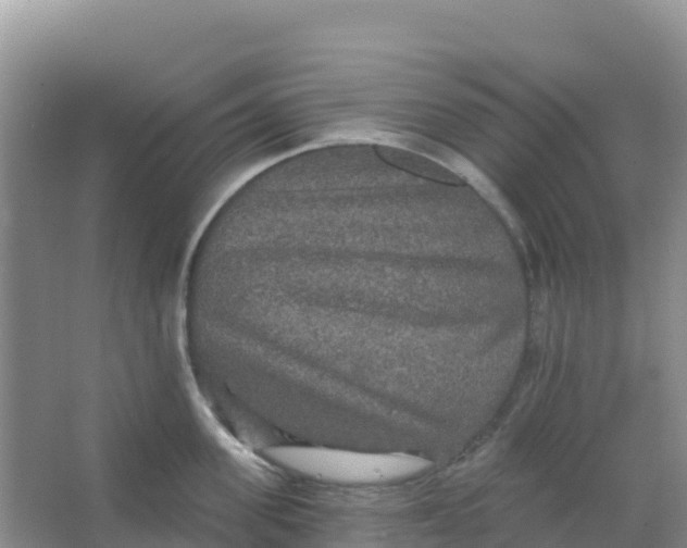 X0000066930955200604071843