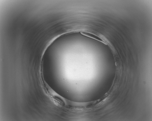 X0000066930956200604071843