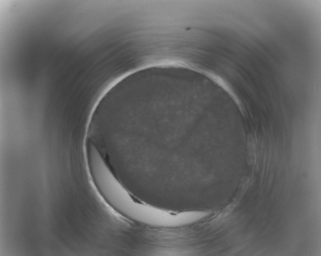 X0000066930959200604071843