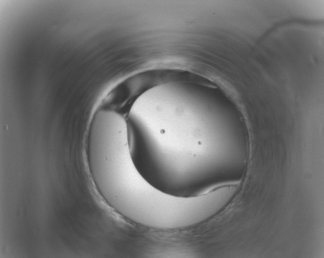 X0000066930960200604071843