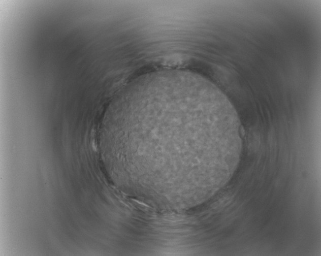 X0000066930962200604071842