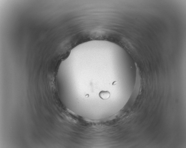 X0000066930964200604071842