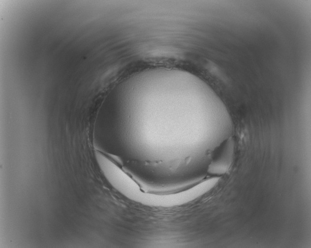 X0000066930965200604071842