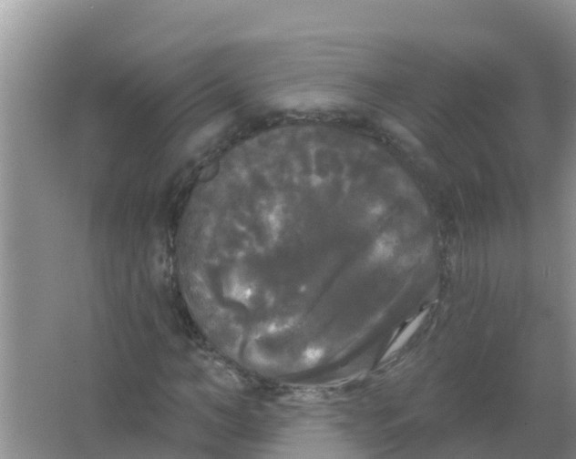 X0000066930966200604071842