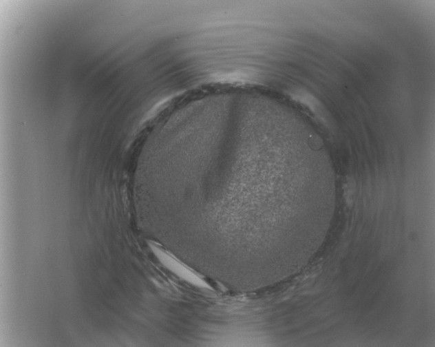 X0000066930968200604071842