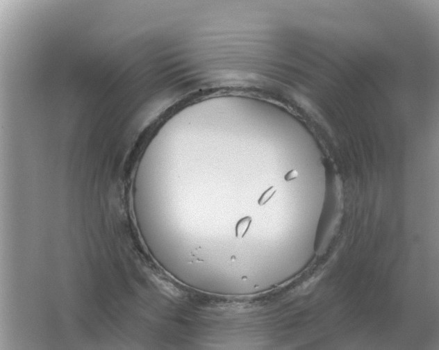 X0000066930970200604071842