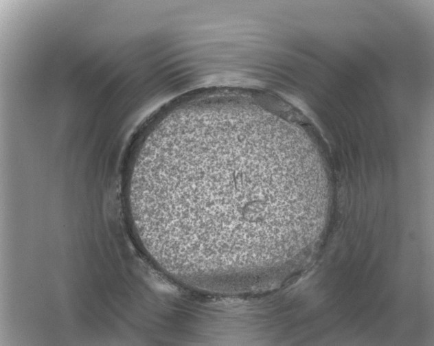 X0000066930971200604071842