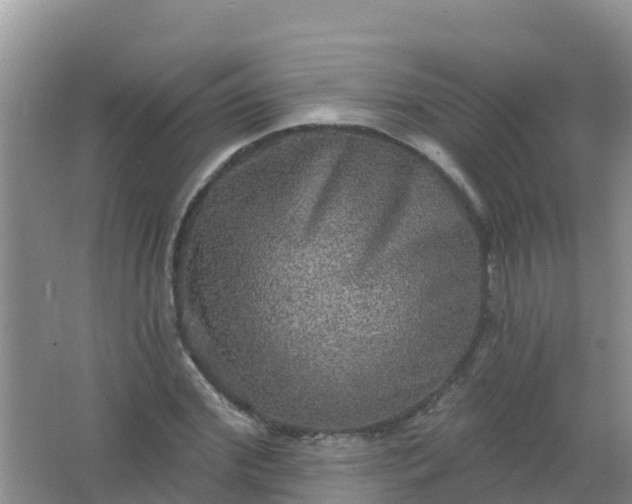 X0000066930972200604071842