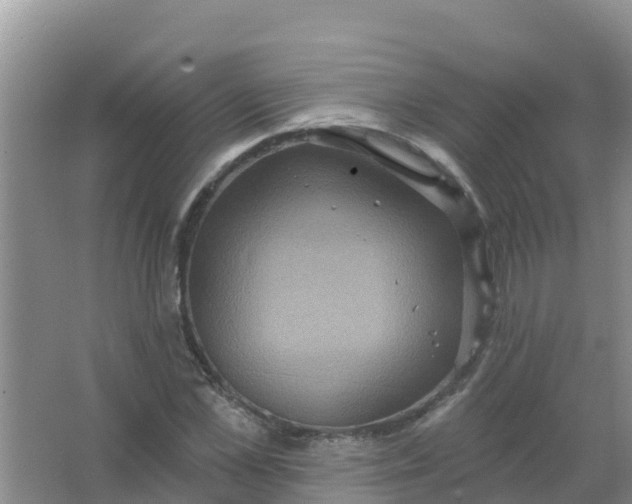 X0000066930973200604071842