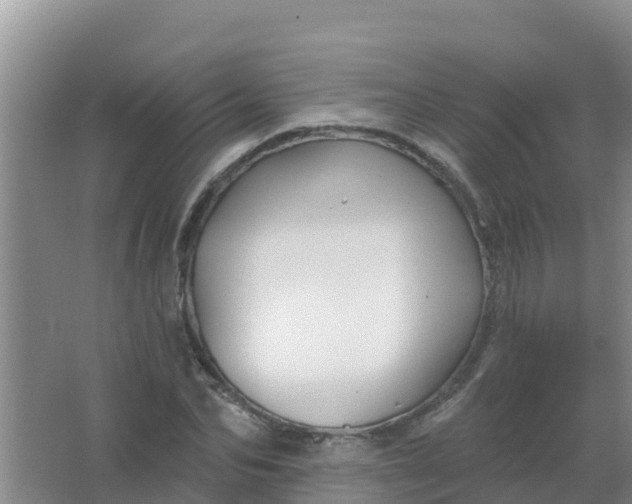 X0000066930974200604071842