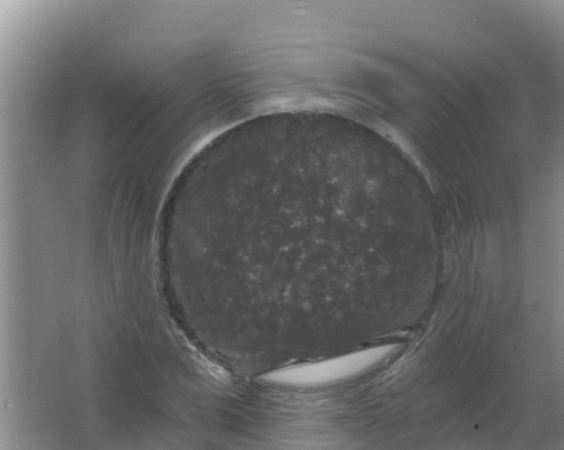 X0000066930975200604071842