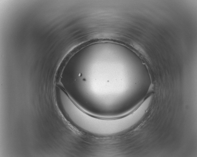 X0000066930976200604071842