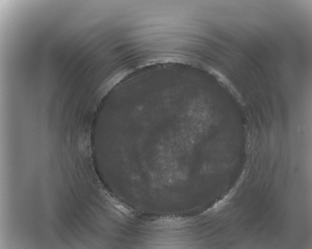 X0000066930977200604071842