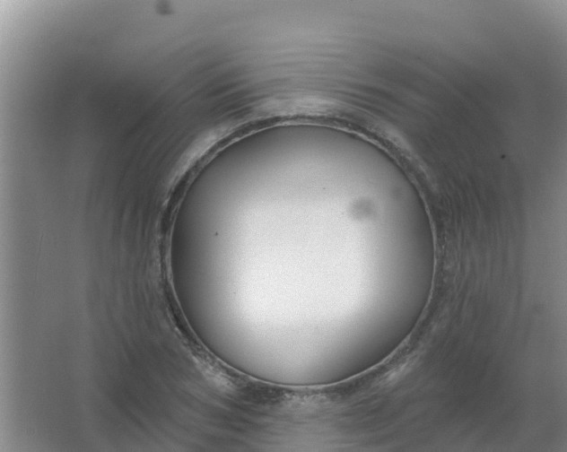 X0000066930978200604071842