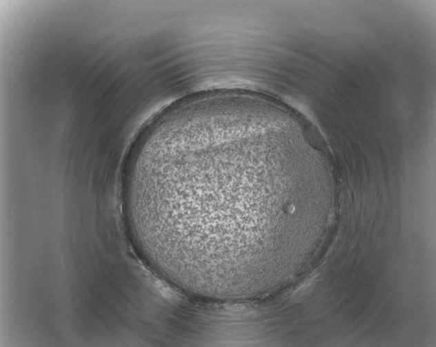 X0000066930979200604071842