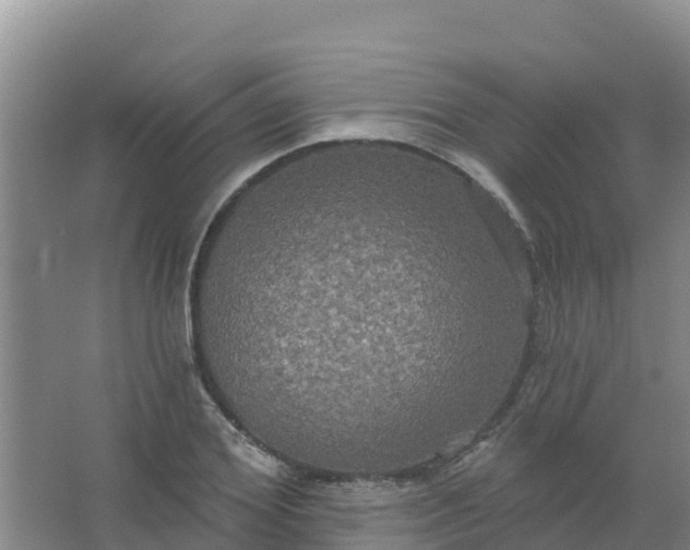 X0000066930980200604071842