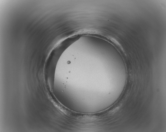 X0000066930981200604071842