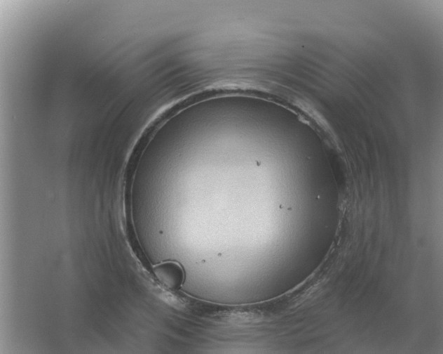 X0000066930984200604071842