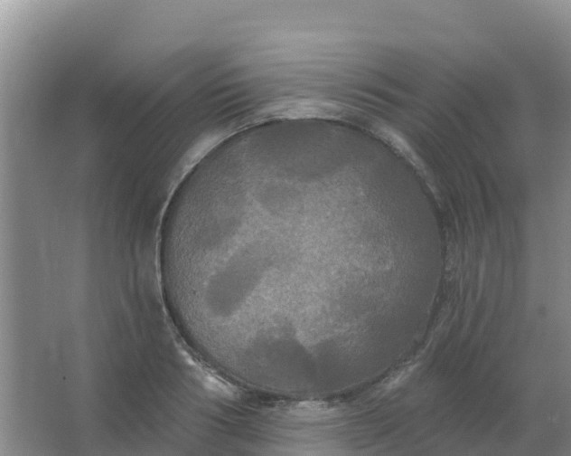 X0000066930986200604071842