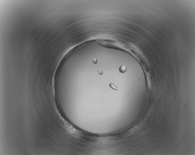 X0000066930988200604071842