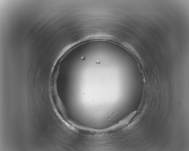 X0000066930989200604071842