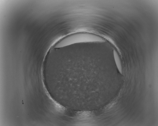 X0000066930991200604071842