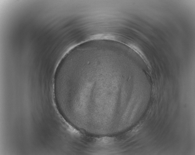 X0000066930992200604071842