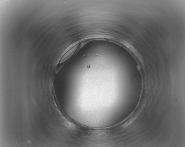 X0000066930993200604071841