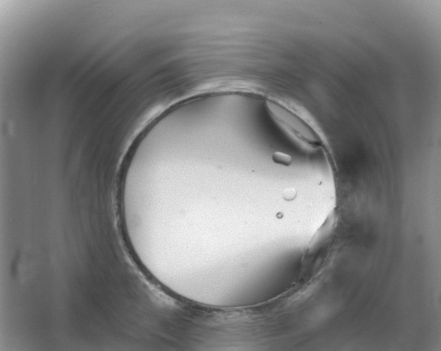 X0000066930997200604071841