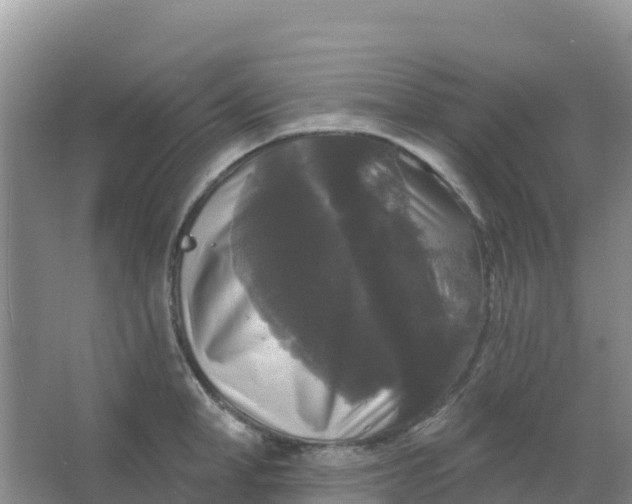 X0000066930998200604071841