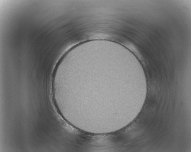 X0000066931000200604071841