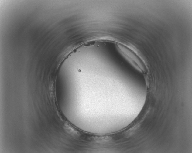 X0000066931001200604071841