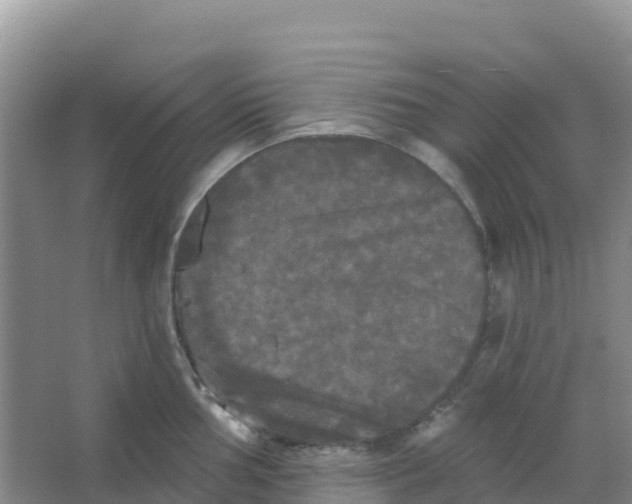 X0000066931002200604071841