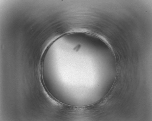 X0000066931003200604071841