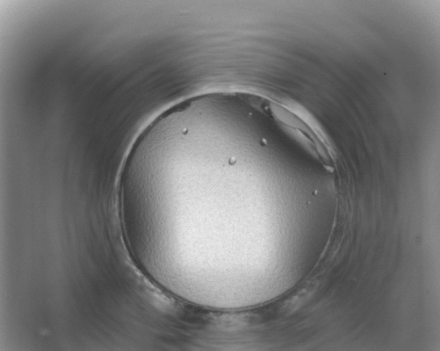 X0000066931004200604071841