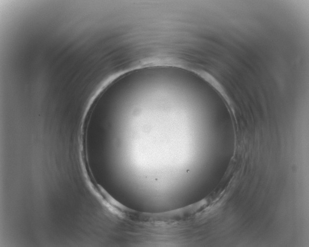 X0000066931005200604071841