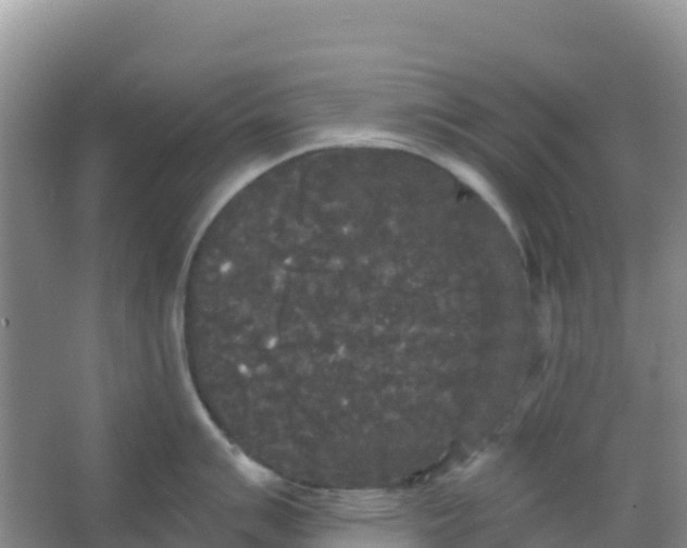 X0000066931007200604071841