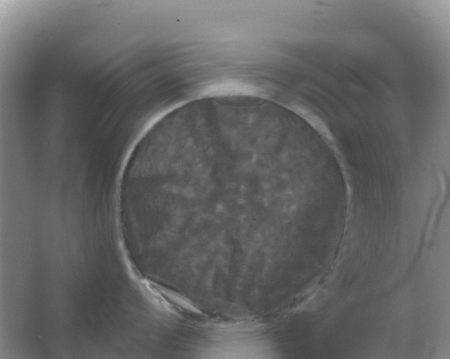 X0000066931008200604071841