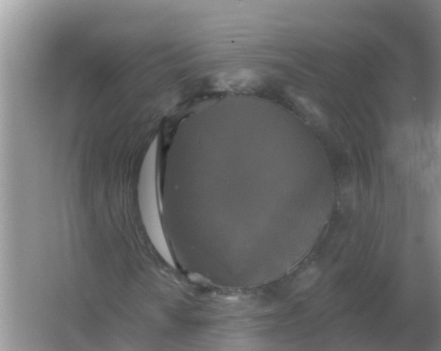 X0000066931010200604071840