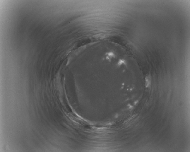 X0000066931011200604071840