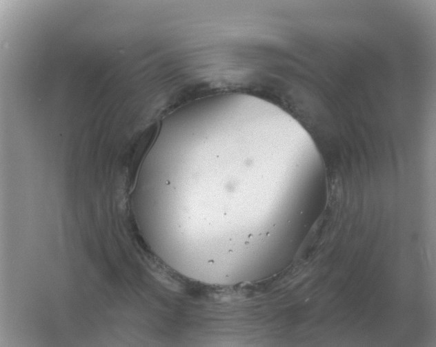 X0000066931012200604071840