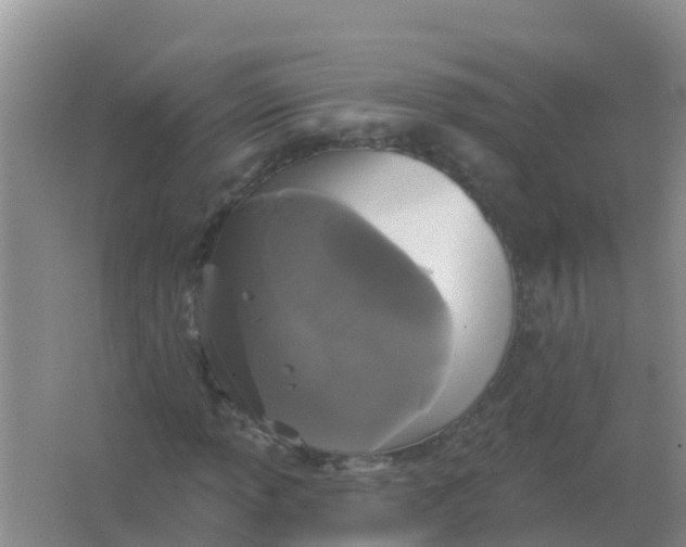 X0000066931013200604071840