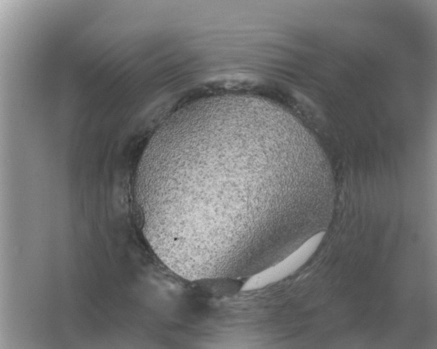 X0000066931014200604071841