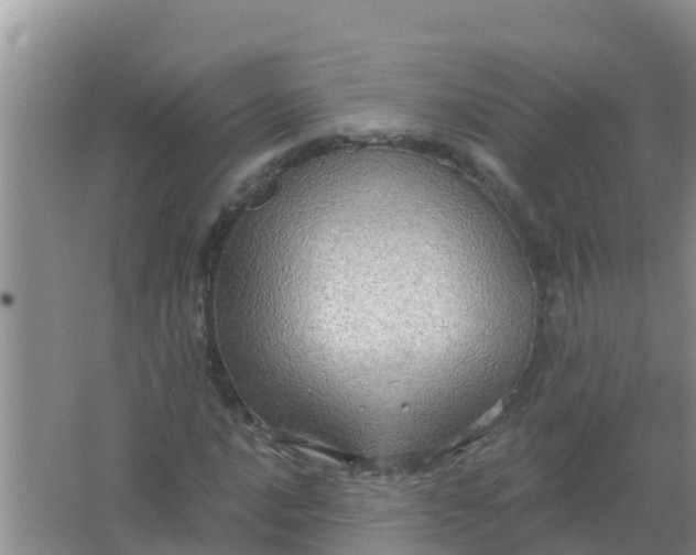 X0000066931016200604071841