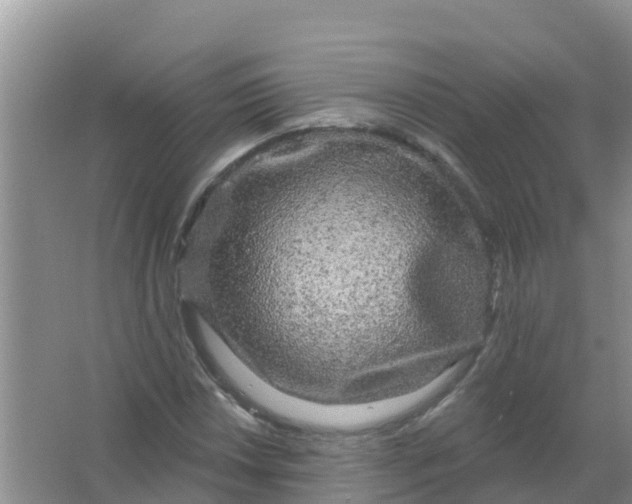 X0000066931018200604071841