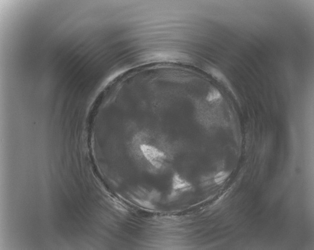 X0000066931019200604071841