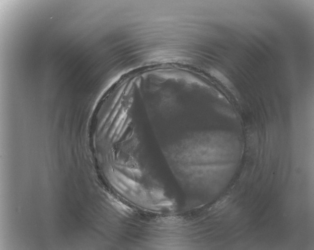 X0000066931023200604071841