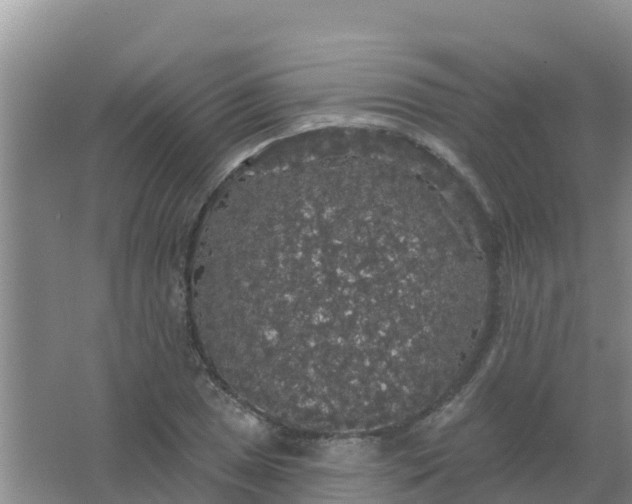 X0000066931025200604071841